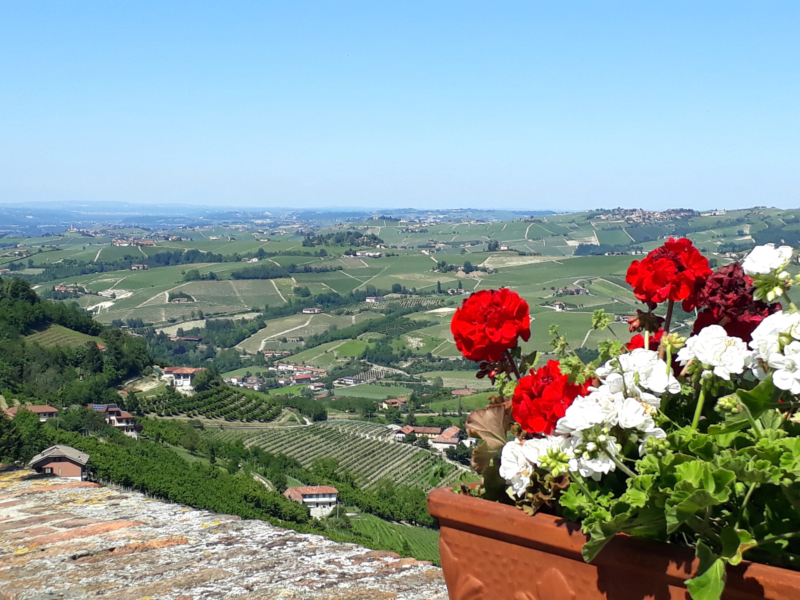 Luglio nelle Langhe
